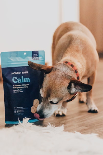 Customer Testimonials: Yucky Dog Success Stories